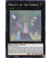 Melffy of the Forest