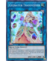 Geonator Transverser