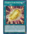 Cocoon of Ultra Evolution