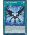 Cyber Eternal