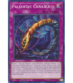 Paleozoic Canadia