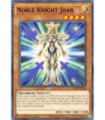 Noble Knight Joan