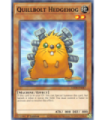 Quillbolt Hedgehog