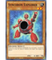 Synchron Explorer