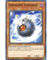 Unknown Synchron