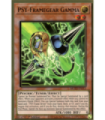 PSY-Framegear Gamma