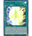 Zexal Field