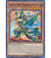 Kaiza the Hidden Star