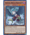 Simorgh, Bird of Perfection