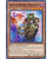 Skilled Brown Magician