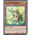 Silvervine Senri