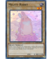 Melffy Rabby