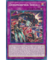 Dinomorphia Shell