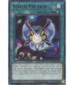 Starlit Papillon