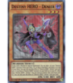 Destiny HERO - Denier