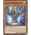 Maginificent Magikey Mafteal