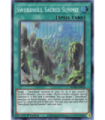 Swordsoul Sacred Summit