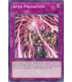 Apex Predation