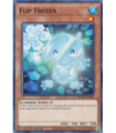 Flip Frozen