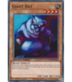 Giant Rat