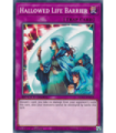 Hallowed Life Barrier