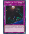 Floodgate Trap Hole