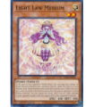 Light Law Medium