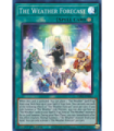 The Weather Forecast