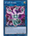 V-LAN Hydra