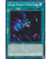 Dark Spirit's Mastery