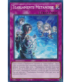 Tearlaments Metanoise