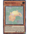 Melffy Catty