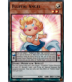 Fluffal Angel