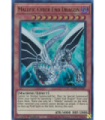 Malefic Cyber End Dragon