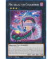 Materiactor Gigaboros