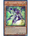 ZS - Ascended Sage