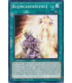 Bujincandescence