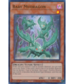 Baby Mudragon