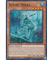 Icejade Tinola