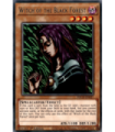 Witch of the Black Forest - Rare