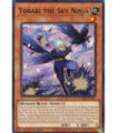 Tobari the Sky Ninja