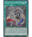 Black Feather Whirlwind