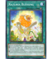 Naturia Blessing