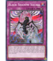 Black Shadow Squall