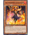 Zalamander Catalyzer