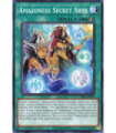 Amazoness Secret Arts