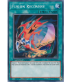 Fusion Recovery