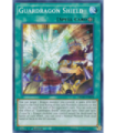 Guardragon Shield