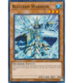 Blizzard Warrior