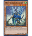 Mist Valley Soldier